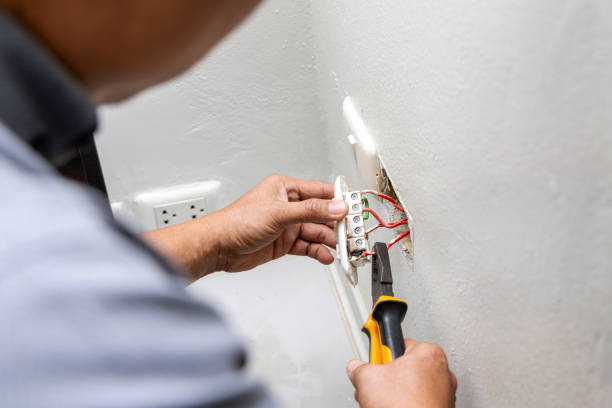 Best Affordable Electrician  in Harper Woods, MI